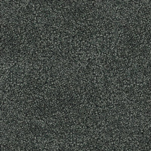 Hilton - 100% Solution Dyed Nylon - Flooring Direct 