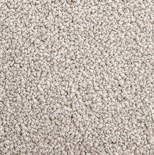 Load image into Gallery viewer, Earthen - 35oz 100%  Solution Dyed Nyon - Flooring Direct 
