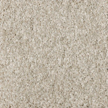 Load image into Gallery viewer, Starlight - 48oz 100% Solution Dyed Nylon - Flooring Direct 
