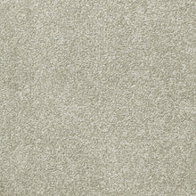 Load image into Gallery viewer, Enzo - 26oz 100% SDN - Flooring Direct 

