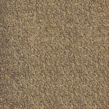 Load image into Gallery viewer, Parkview Gardens 4m- 36oz 100% Solution Dyed Nylon Stainproof - Flooring Direct 
