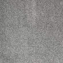 Load image into Gallery viewer, Luna - 64oz 100% Regenerated Solution Dyed Nylon - Flooring Direct 
