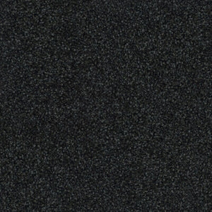 Hilton - 100% Solution Dyed Nylon - Flooring Direct 