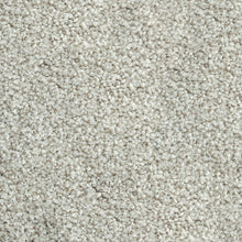 Load image into Gallery viewer, Parkview Gardens 4m- 36oz 100% Solution Dyed Nylon Stainproof - Flooring Direct 
