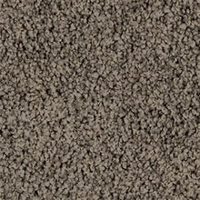 Load image into Gallery viewer, Pleasant Point - 48oz 100% Solution Dyed Nylon - Flooring Direct 
