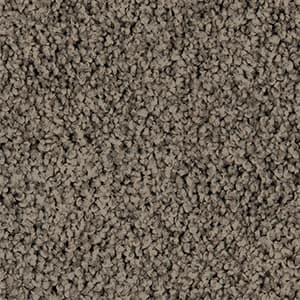 Pleasant Point - 48oz 100% Solution Dyed Nylon - Flooring Direct 