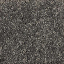 Load image into Gallery viewer, Starlight - 48oz 100% Solution Dyed Nylon - Flooring Direct 
