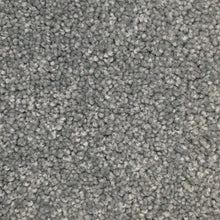 Load image into Gallery viewer, Delta - 100% Solution Dyed Nylon - Flooring Direct Greenlane
