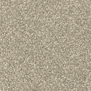 Delta - 100% Solution Dyed Nylon - Flooring Direct Greenlane