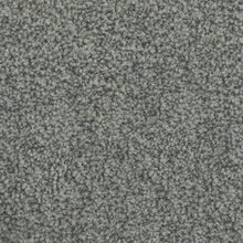 Load image into Gallery viewer, Parkview Gardens 4m- 36oz 100% Solution Dyed Nylon Stainproof - Flooring Direct 
