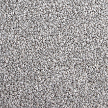Load image into Gallery viewer, Lush - 60oz 100% Solution Dyed Nylon - Flooring Direct 
