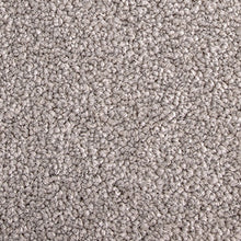 Load image into Gallery viewer, Lush - 60oz 100% Solution Dyed Nylon - Flooring Direct 
