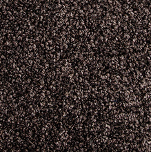 Load image into Gallery viewer, Lush - 60oz 100% Solution Dyed Nylon - Flooring Direct 
