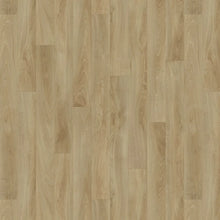 Load image into Gallery viewer, Seduction 3m -  Vinyl
