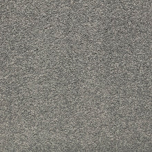 Load image into Gallery viewer, Mount Ida - 55oz 100% Solution Dyed Nylon - Flooring Direct 
