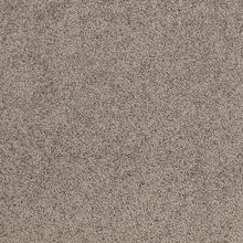 Load image into Gallery viewer, Taupo Bay - 34oz Solution Dyed Nylon - Flooring Direct 
