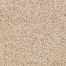 Load image into Gallery viewer, Mount Ida - 55oz 100% Solution Dyed Nylon - Flooring Direct 

