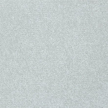 Load image into Gallery viewer, Mink - 40oz Colour Guard Nyon - Flooring Direct 
