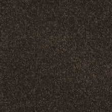 Load image into Gallery viewer, Madrid - 45oz 100% Solution Dyed Nylon
