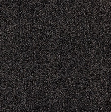 Load image into Gallery viewer, Metro - 30oz Solution Dyed Nylon - Flooring Direct 
