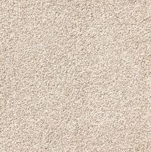 Load image into Gallery viewer, Metro - 30oz Solution Dyed Nylon - Flooring Direct 
