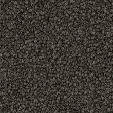 Load image into Gallery viewer, Inspirational - 55oz Triexta
