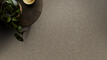 Load image into Gallery viewer, Stony River - 100% Solution Dyed Nylon - Flooring Direct Greenlane
