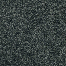Load image into Gallery viewer, Parkview Gardens 4m- 36oz 100% Solution Dyed Nylon Stainproof - Flooring Direct 
