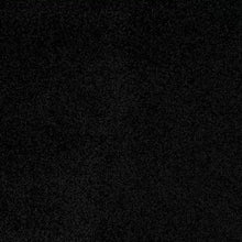 Load image into Gallery viewer, Luna - 64oz 100% Regenerated Solution Dyed Nylon - Flooring Direct 
