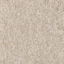 Load image into Gallery viewer, Starlight - 48oz 100% Solution Dyed Nylon - Flooring Direct 
