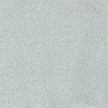 Load image into Gallery viewer, Charmeuse - 80oz Colour Guard Nylon - Flooring Direct 
