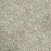 Load image into Gallery viewer, Parkview Gardens 4m- 36oz 100% Solution Dyed Nylon Stainproof - Flooring Direct 

