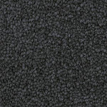 Load image into Gallery viewer, Inspirational - 55oz Triexta
