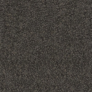 Hilton - 100% Solution Dyed Nylon - Flooring Direct 