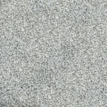 Load image into Gallery viewer, Parkview Gardens 4m- 36oz 100% Solution Dyed Nylon Stainproof - Flooring Direct 
