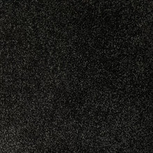 Load image into Gallery viewer, Luna - 64oz 100% Regenerated Solution Dyed Nylon - Flooring Direct 

