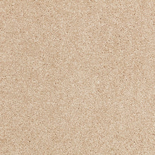 Load image into Gallery viewer, Taupo Bay - 34oz Solution Dyed Nylon - Flooring Direct 
