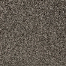 Load image into Gallery viewer, Mount Ida - 55oz 100% Solution Dyed Nylon - Flooring Direct 
