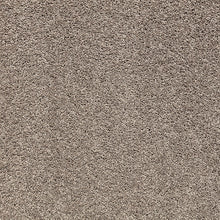Load image into Gallery viewer, Mount Ida - 55oz 100% Solution Dyed Nylon - Flooring Direct 
