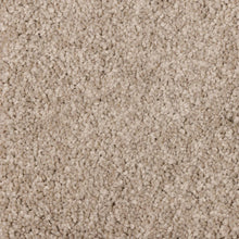 Load image into Gallery viewer, Starlight - 48oz 100% Solution Dyed Nylon - Flooring Direct 

