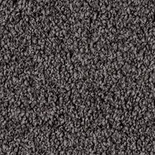 Load image into Gallery viewer, Pearl Bay - 30oz 100% Solution Dyed Nylon - Flooring Direct 
