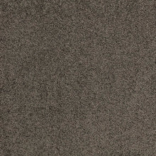 Load image into Gallery viewer, Taupo Bay - 34oz Solution Dyed Nylon - Flooring Direct 
