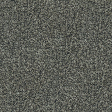 Load image into Gallery viewer, Parkview Gardens 4m- 36oz 100% Solution Dyed Nylon Stainproof - Flooring Direct 
