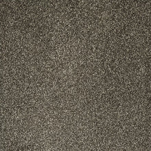 Load image into Gallery viewer, Luna - 64oz 100% Regenerated Solution Dyed Nylon - Flooring Direct 
