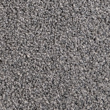 Load image into Gallery viewer, Lush - 60oz 100% Solution Dyed Nylon - Flooring Direct 
