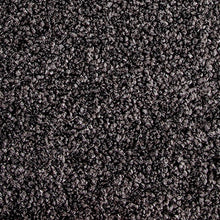Load image into Gallery viewer, Lush - 60oz 100% Solution Dyed Nylon - Flooring Direct 
