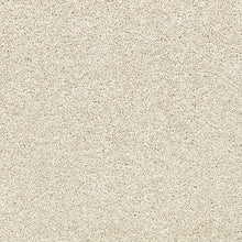 Load image into Gallery viewer, Mount Ida - 55oz 100% Solution Dyed Nylon - Flooring Direct 
