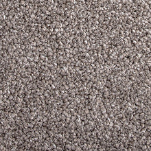 Load image into Gallery viewer, Lush - 60oz 100% Solution Dyed Nylon - Flooring Direct 
