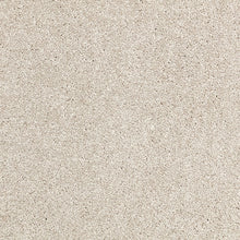 Load image into Gallery viewer, Taupo Bay - 34oz Solution Dyed Nylon - Flooring Direct 
