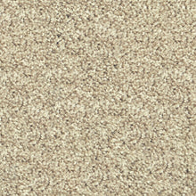 Load image into Gallery viewer, Parkview Gardens 4m- 36oz 100% Solution Dyed Nylon Stainproof - Flooring Direct 
